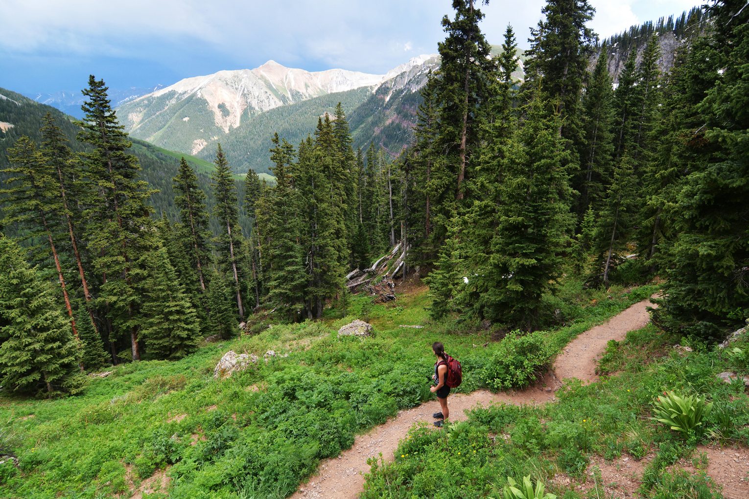 National Forest & Grasslands