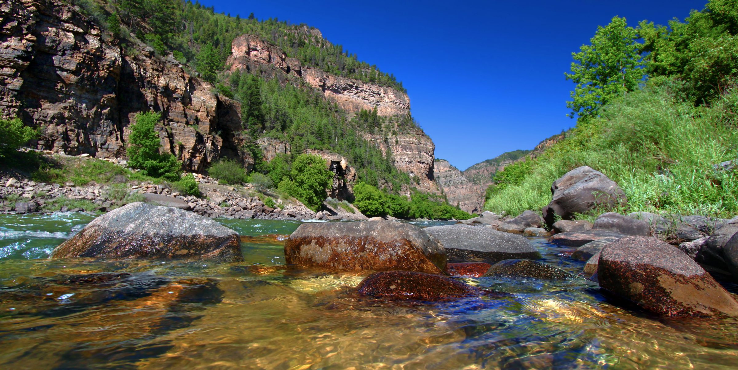 colorado innovation network